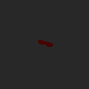 extracted_pick_13.png
