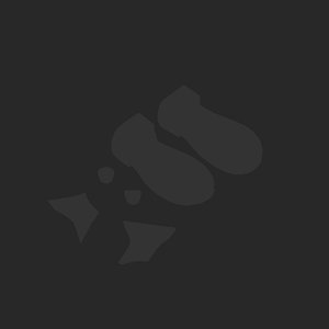 extracted_plate_no_light_9_5.png