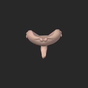 extracted_top_3_6.png