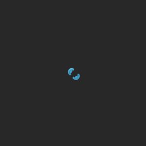extracted_top_10_6.png