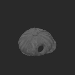 extracted_plate_4_9.png