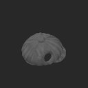 extracted_plate_4_small_9.png