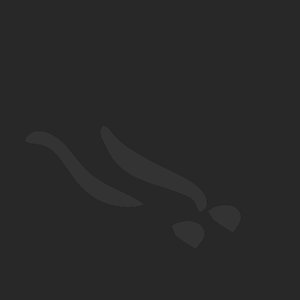 extracted_plate_no_light_8_9.png