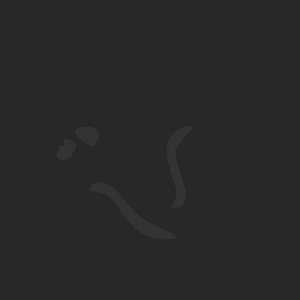 extracted_plate_no_light_5_10.png