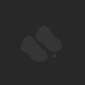 extracted_plate_no_light_11_4.png