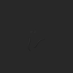 extracted_top_5_10.png