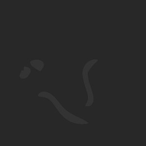 extracted_plate_no_light_5_11.png