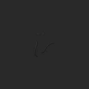 extracted_top_5_11.png