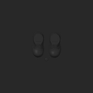 extracted_top_11_5.png