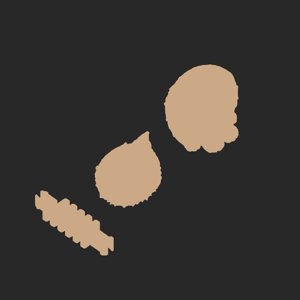 extracted_plate_no_light_4.png