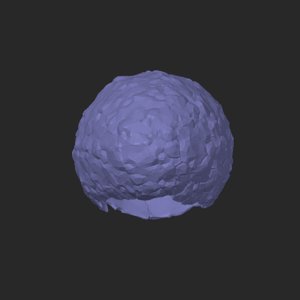 extracted_top_9.png