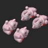 extracted_plate_3_small_2.png
