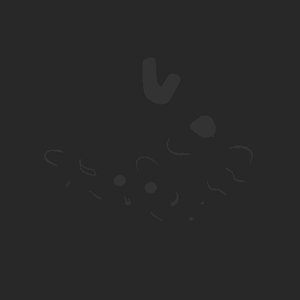 extracted_plate_no_light_9.png