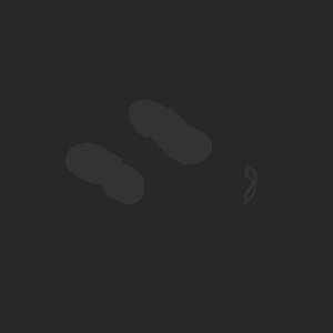extracted_plate_no_light_10.png