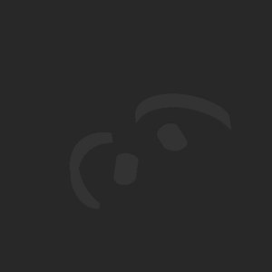 extracted_plate_no_light_3.png