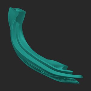 extracted_top_1.png