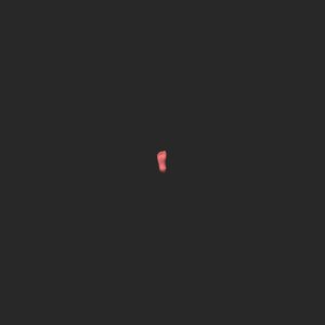 extracted_top_1.png