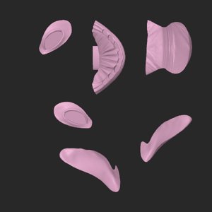 extracted_top_2.png