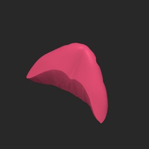 extracted_plate_5.png