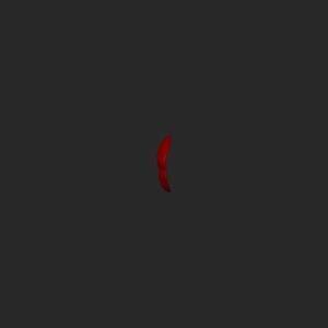 extracted_top_1.png