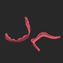 extracted_plate_3_small_2.png