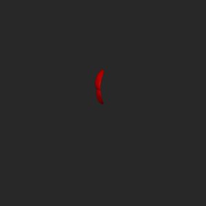 extracted_top_1_2.png