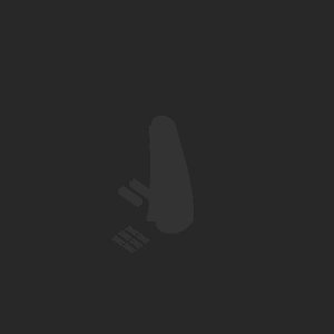 extracted_plate_no_light_4.png