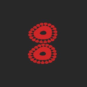 extracted_plate_no_light_9.png