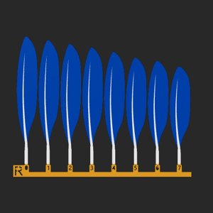 extracted_top_5_1.png