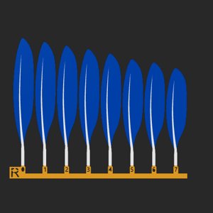 extracted_top_5_3.png