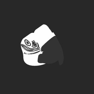 extracted_plate_no_light_1_9.png