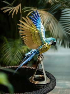 extracted_001-1_1_11.webp