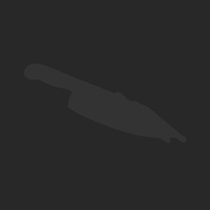 extracted_plate_no_light_1.png