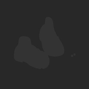 extracted_plate_no_light_4.png