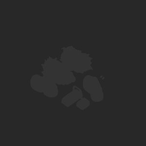 extracted_plate_no_light_4.png