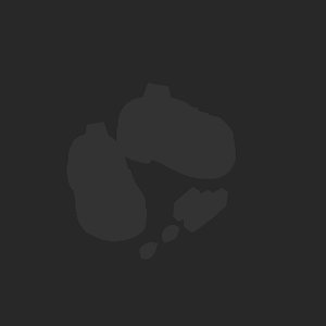 extracted_plate_no_light_2.png