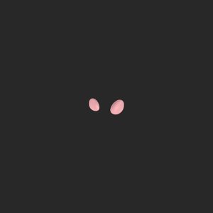 extracted_top_4_1.png