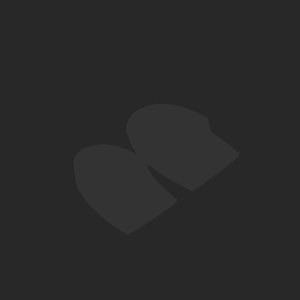 extracted_plate_no_light_8.png