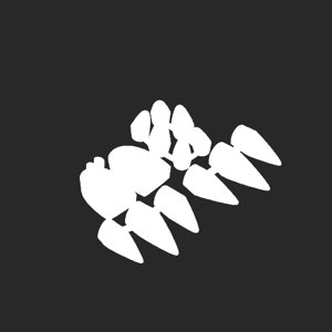 extracted_plate_no_light_11.png