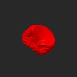 extracted_top_7_1.png