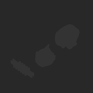 extracted_plate_no_light_4.png