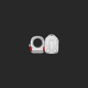 extracted_top_1.png