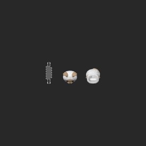 extracted_top_3_3.png
