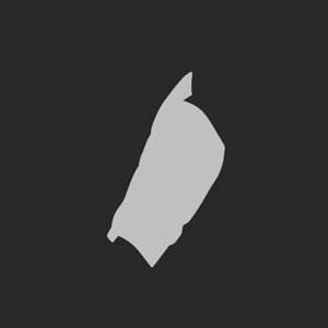 extracted_plate_no_light_2.png