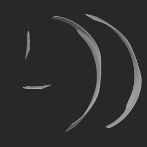 extracted_top_13_1.png