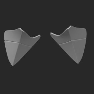 extracted_top_31_1.png