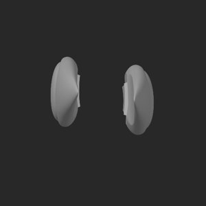 extracted_top_32_1.png