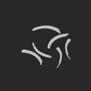 extracted_plate_no_light_4_2.png