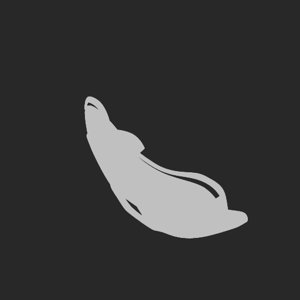 extracted_plate_no_light_13_2.png