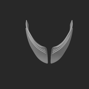extracted_top_5_2.png